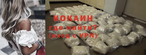 PSILOCYBIN Козловка