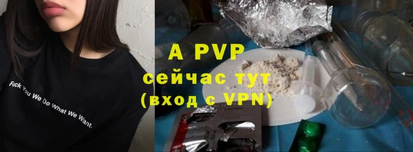 тгк Карпинск