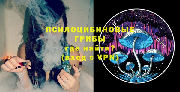 тгк Карпинск
