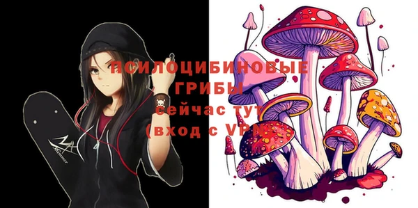 тгк Карпинск