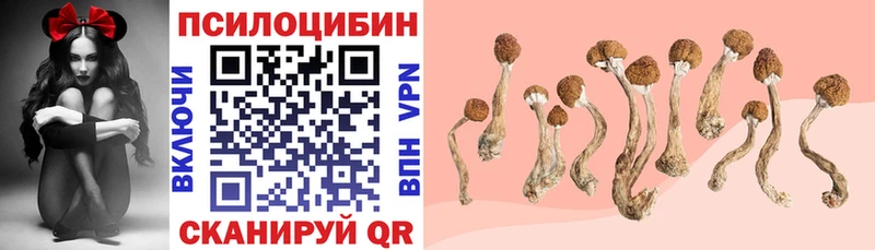 Псилоцибиновые грибы MAGIC MUSHROOMS  Пойковский 
